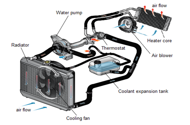 ecm loop
